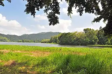 View of the river in Carraízo, Trujillo Alto close to the reservoir.