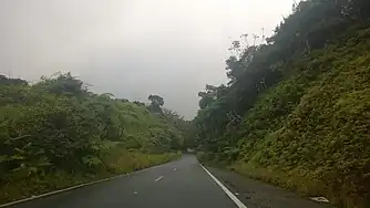 Puerto Rico Highway 184 in Muñoz Rivera