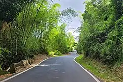 Puerto Rico Highway 568 between Botijas and Mata de Cañas barrios