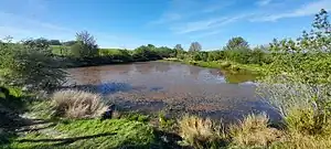 Carrmyers Pond, on boundary of Catchgate and Harelaw