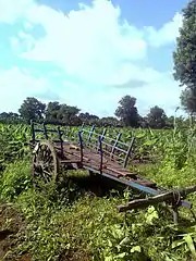 Cart with iron wheels in a farm at Chinawal village, India