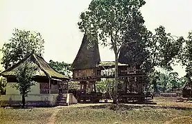 Timorean houses at Tutuala in 1966.