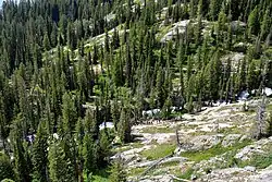 Looking down on the Cascade Canyon trail and Cascade Creek