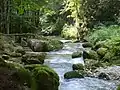 Mountain streams