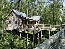 Tree house on the Cashie River