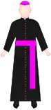 Bishop(Often with pellegrina.)(Also worn by Protonotaries Apostolic and Honorary Prelates, but withoutpellegrina and zucchetto.)