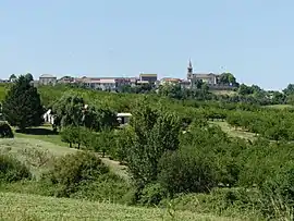 View of Castelnaud-de-Gratecambe