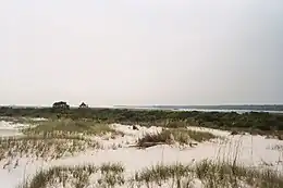 Photograph of sand dunes by the beach