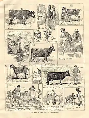 Cattle at the Dairy Show, Islington; The Graphic, 1887