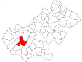 Location in Satu Mare County