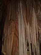 Stalactites formed inside the cave.