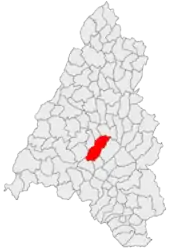 Location in Bihor County