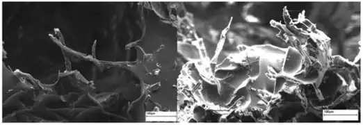 Figure 11: Open access scanning electron microscopy images of soybean oil and cellulose fiber foams.