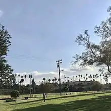 Silhouetted palm trees behind lawn and ball fields at California park