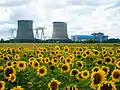 Sunflowers and the nuclear power station