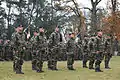 Ceremony of the enacting of battle group Richelieu of the 2nd Marine Infantry Regiment.