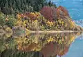 Lake Cerknica in the autumn