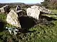 Cerrig y Gof chambered tomb