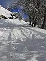 Cerro Otto trails in winter