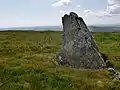 An upright stone with lichen amongst greenery in the foreground with undulating scenery in the distance behind