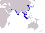 Indo-pacific finless porpoise range