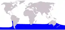 Southern right whale dolphin range