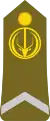 Soldat première(Chadian Ground Forces)