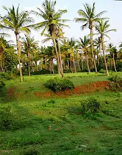 Munjenahalli