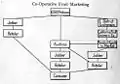 Channels of distribution, Co-Operative Fruit Marketing, 1915