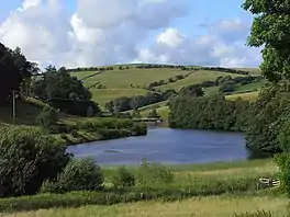 A lake in a valley surrounded by trees