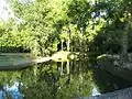 Pond in the park