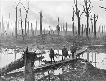 Image 62Australian soldiers in Chateau Wood, near Hooge, in the Ypres Salient, 29 October, 1917. Photo credit: Frank Hurley.