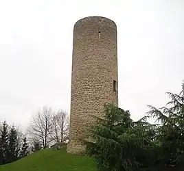 Ruins of the chateau