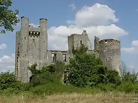 The ruins of Passy-les-Tours Castle