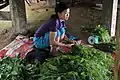 Weighing and preparing chayote shoots (Vietnam)