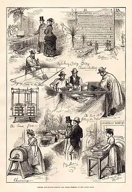 Cheese and Butter Making and Prize Cheeses at the Dairy Show; The Illustrated London News, 1876