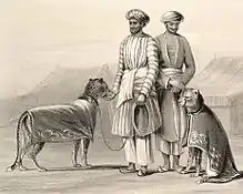 Two cheetahs with saddles on their backs with attendants