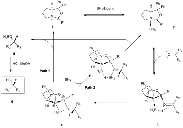 Mechanism of CBS reduction