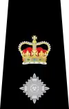 UK police chief superintendent epaulette