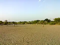 Locals playing tape ball cricket in an interior Sindh village in Pakistan
