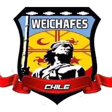 Badge of Chile team