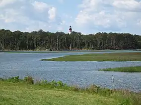 Chincoteague National Wildlife Refuge with lighthouse in distance