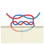 Surgeon's knot