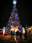 Christmas tree, Plaza, Las Cruces, New Mexico, US