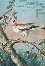 A bird seated on a branch
