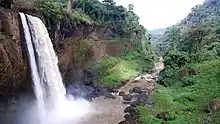 A split waterfall flows into the river in a steep-sided canyon, with lush green vegetation all around