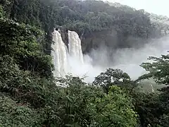 Ekom Nkam water Falls