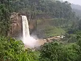 Ekom Waterfall in Korup National Park