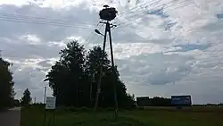 Stork's Nest - national road No. 7 in the vicinity of the village of Cieciórki