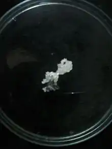 A sample of cinnamyl alcohol on a petri dish.